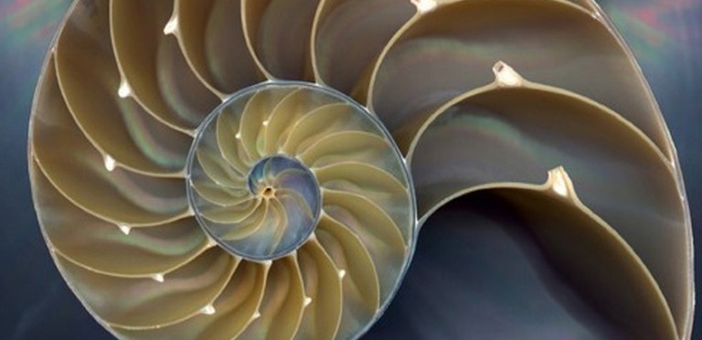 Computational Thinking and Coding the Fibonacci Series