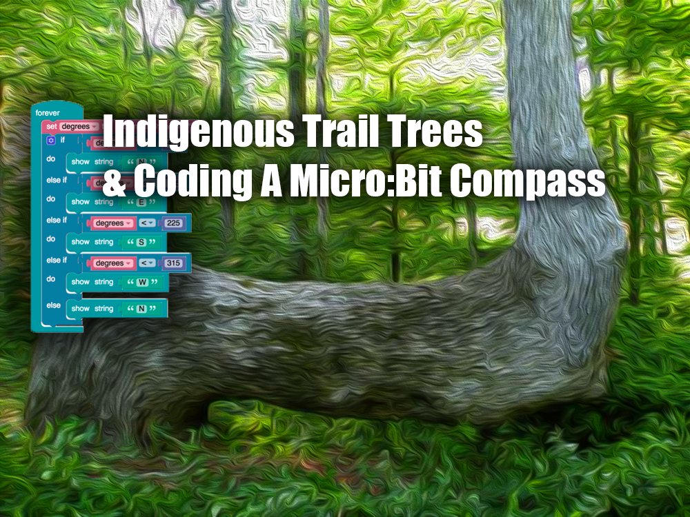 Indigenous Trail Trees & Coding A Micro:Bit Compass